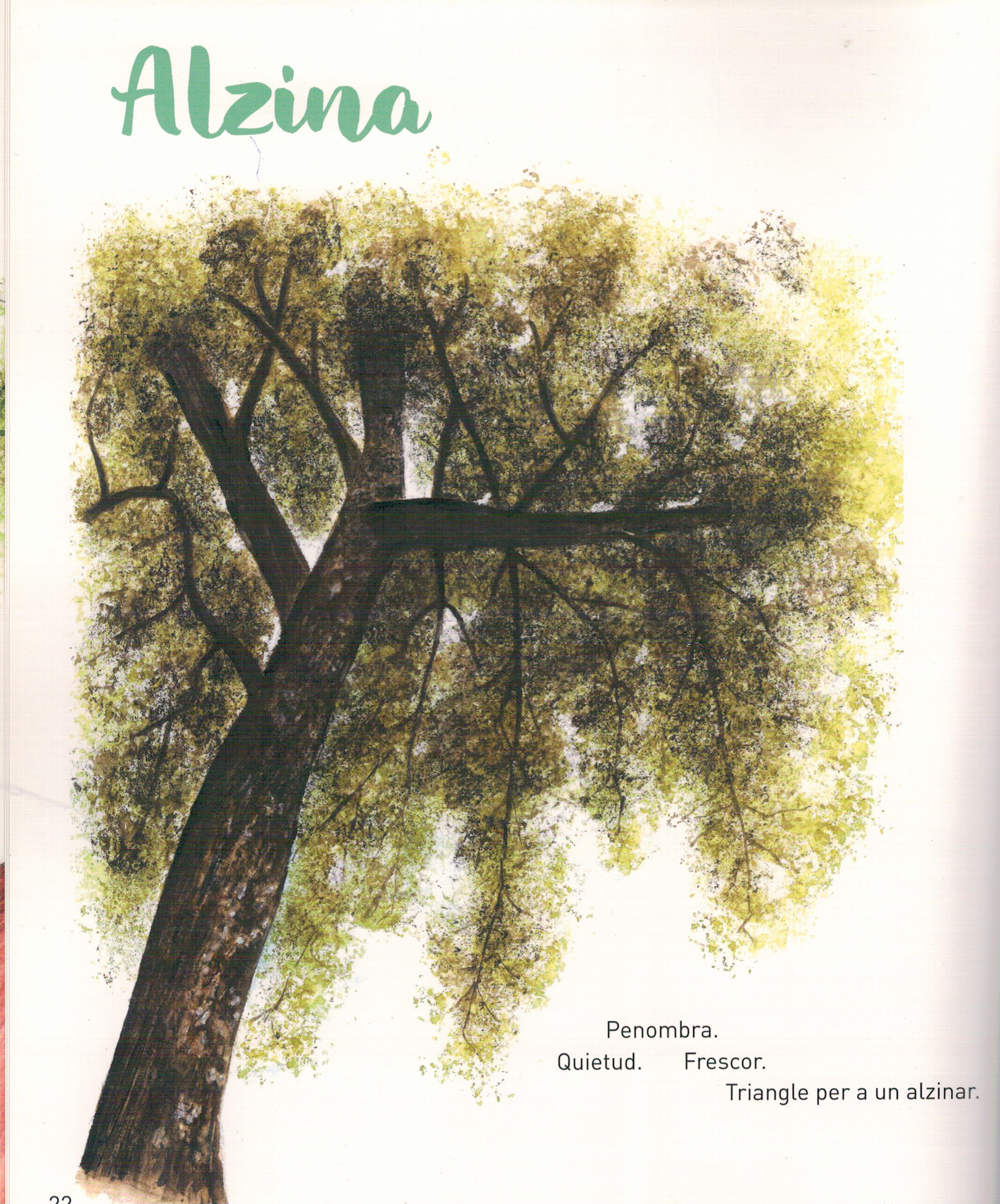 alzina Cinta Riera alzina Cinta Riera