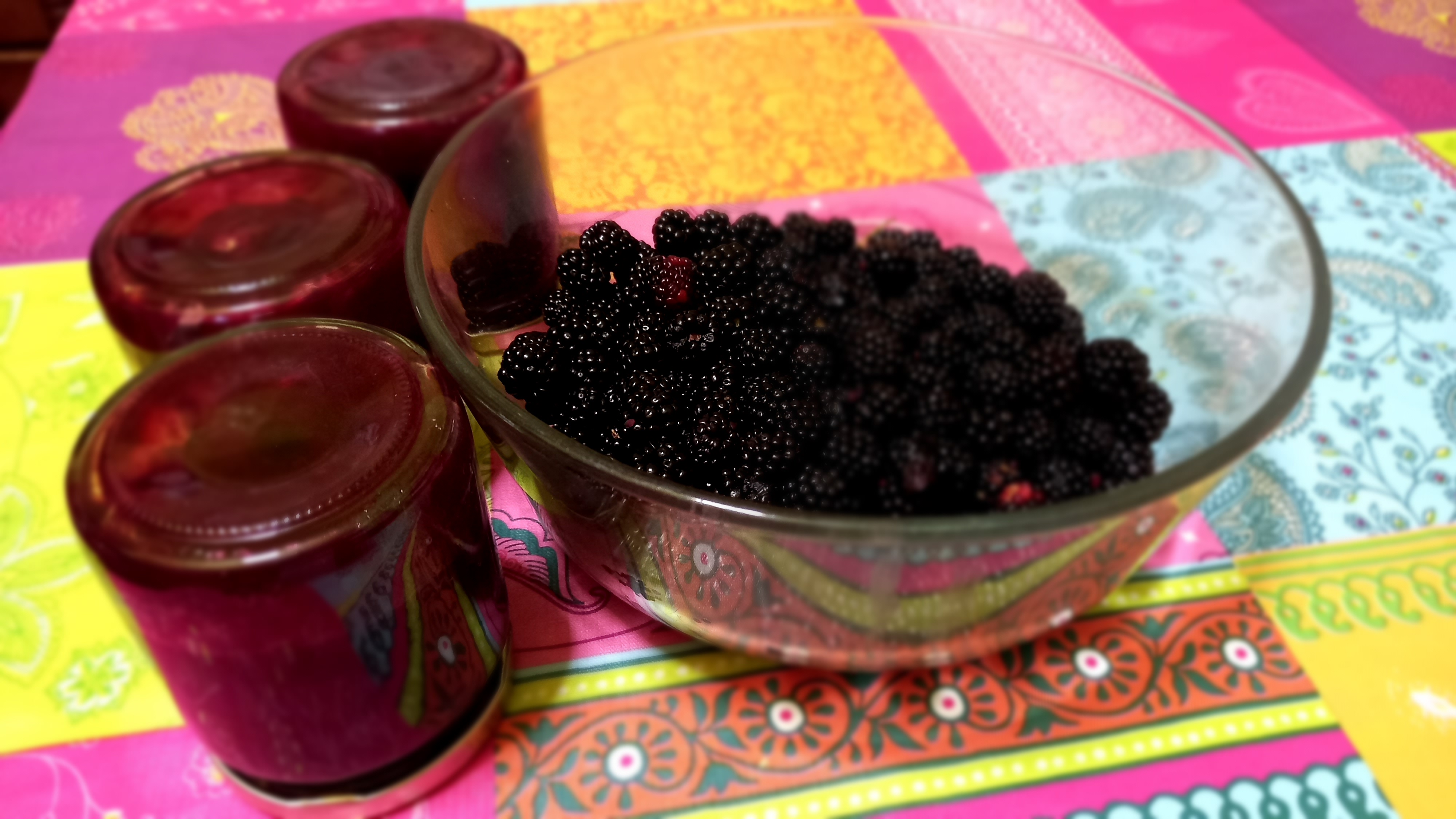 mermelada mores Neus Julia mermelada mores Neus Julia